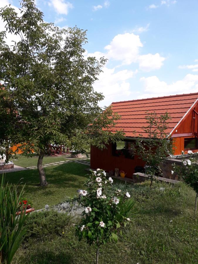 Matyas Apartman Tard Екстериор снимка